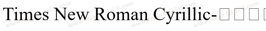 Times New Roman Cyrillic字体转换